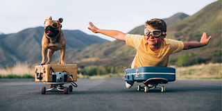 2023 Term 4 Kinder + Hund