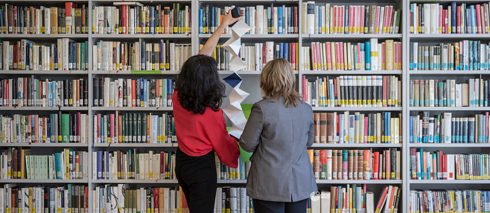 Bibliothek 37 Merrion Square
