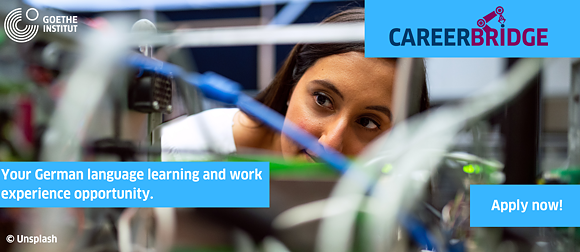 Careerbridge - apply now