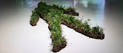 a human form cut from gras laying on the ground. 