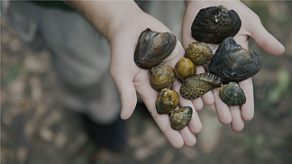 Mussel Grubbing: A Citizen Science Treasure Hunt