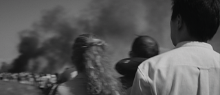 Iron Butterflies Picture 