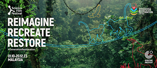 SFF Malaysia 2023 Banner II