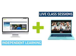USA how it works independent training plus live sessions
