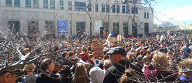 Climate strike in Wellington