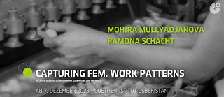 Capturing fem. Work Patterns