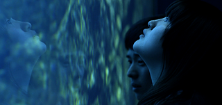 All of Our Heartbeats are Connected Through Exploding Stars 