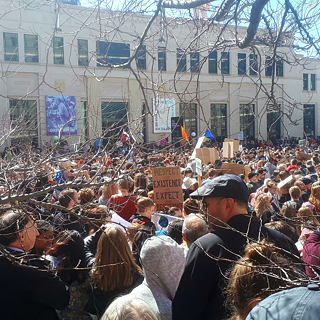climat strike in Wellington