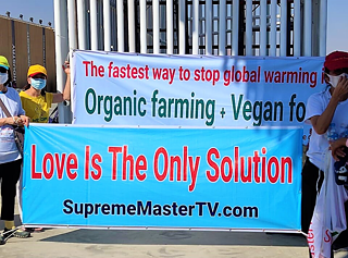 Activists from around the world expressed their doubts if “real solutions to the climate crisis would come from a COP dominated by the Global north” .