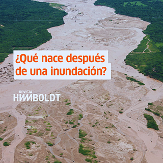 Revista Humboldt