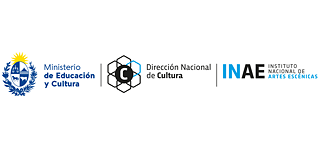 Logo INAE