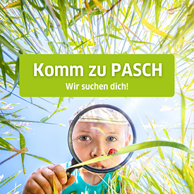 Komm zu PASCH