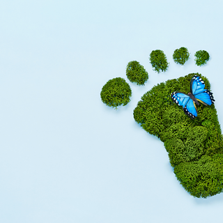 Green footprint with blue butterfly against lightblue background