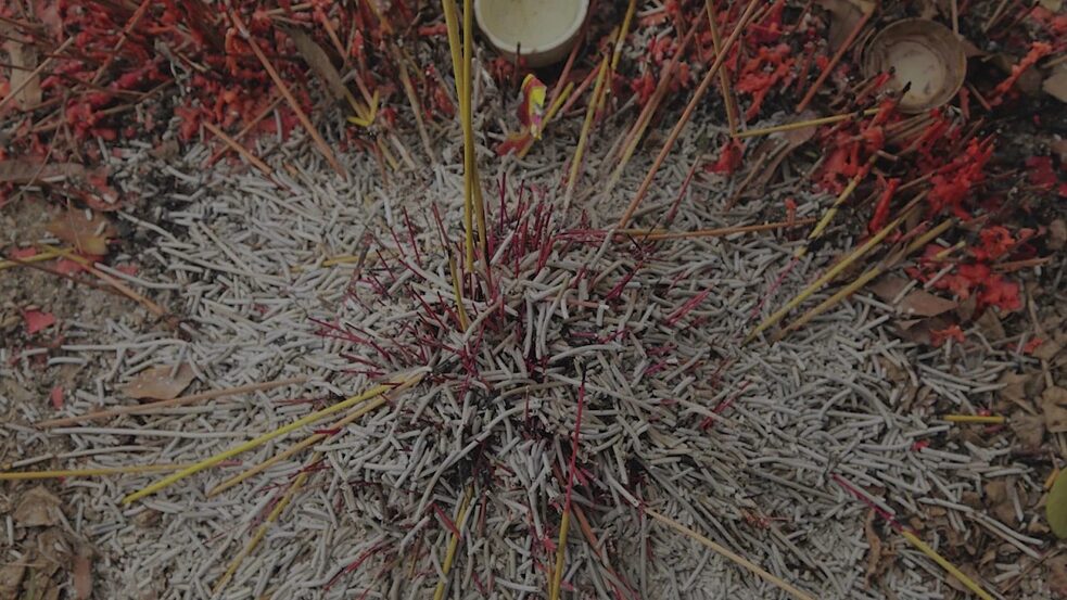 The River of Live, Regie: Yang Pingdao, 2014, 103 Min.