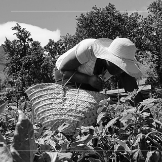 Power Talks Cape Town Jane Nshuti 