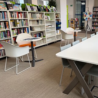 Die Bibliothek des Goethe-Instituts Mailand