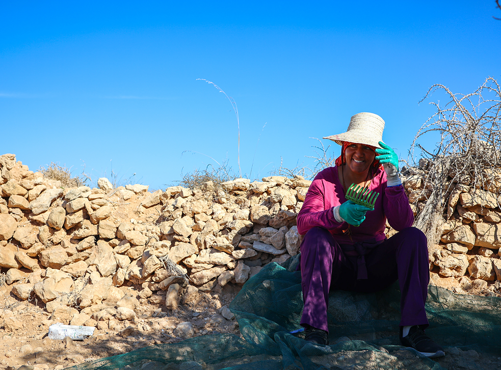   صورة لسونيا وهي تأخذ استراحة من جمع الزيتون. كان من المفترض أن يسقط المطر في شهر نوفمبر وألا تتعدى درجات الحرارة العشر درجات مئوية.