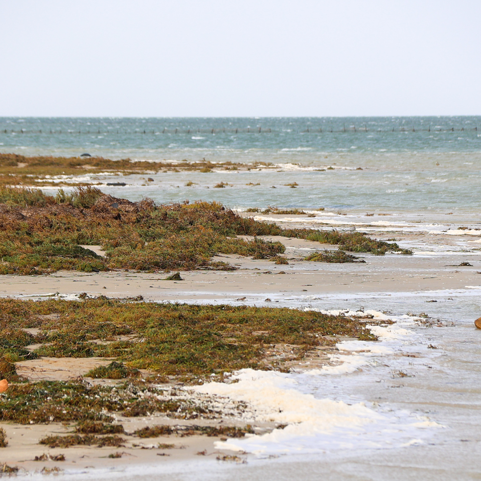 Langsam erobert sich der steigende Meeresspiegel mehr und mehr Landmasse