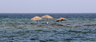 Drei Stroh-Sonnenschirme ragen aus dem Meer