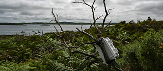 Ausschnitt aus Marcus Maeders ökoakustischem Projekt "Imeall an Chosta"