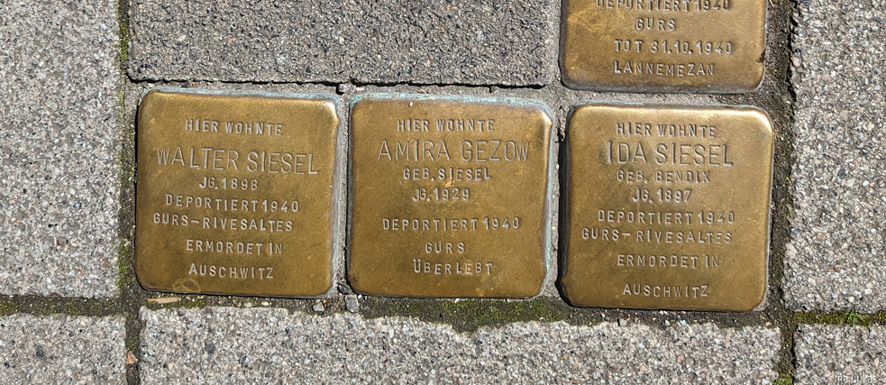 Die Stolpersteine der Familie Siesel in Mannheim