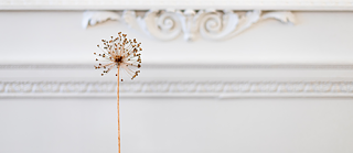 Gardeners for a Geologic Afterlife