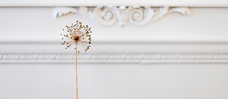 Gardeners for a Geologic Afterlife