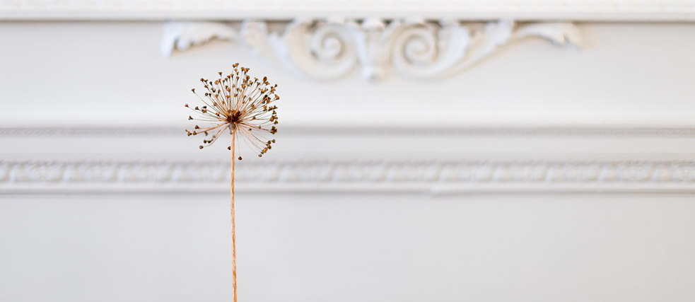 Gardeners for a Geologic Afterlife