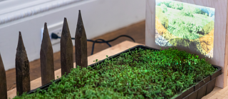 Gardeners for a Geologic Afterlife