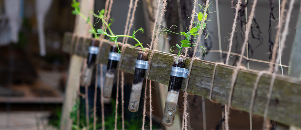 Gardeners for a Geologic Afterlife