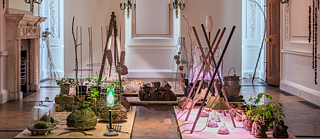 Gardeners for a Geologic Afterlife