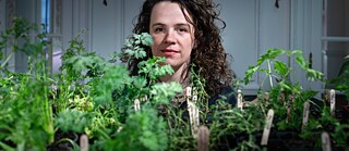 Gardeners for a Geologic Afterlife