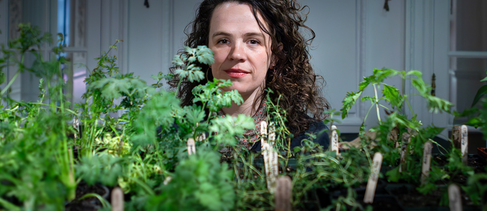 Gardeners for a Geologic Afterlife