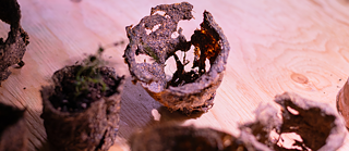 Gardeners for a Geologic Afterlife