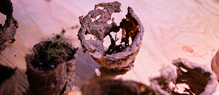 Gardeners for a Geologic Afterlife