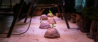 Gardeners for a Geologic Afterlife