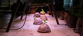 Gardeners for a Geologic Afterlife