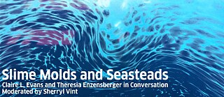 Slime Molds and Seasteads