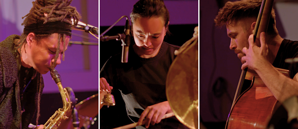 artists of Vehicle/Passenger with their instruments