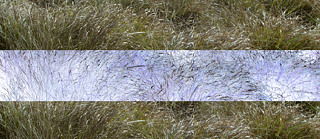 Christiana Chiranagnostaki: Throughs and Throughs, 2024, Einkanal-Video Video mit Ton, 8 Min.