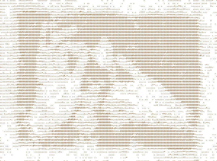 ASCII character art generated by Max Ferguson representing the burnt wool experiments of Sina Hensel