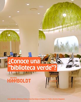 BIBLIOTECAS VERDES 