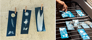 CYANOTYPE PRINTMAKING WORKSHOP