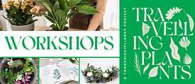 Worshops_TP 2024