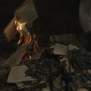 通古斯，王拓，单频 4K 影像 （彩色，有声）， 66'00"，2021