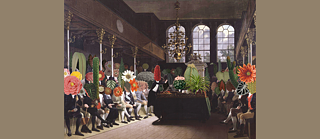 Collage Parliament of Plants