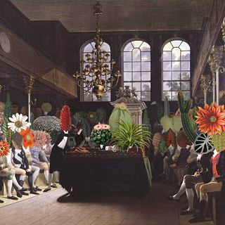 Collage Parliament of Plants