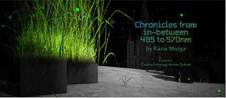  Chronicles from In-Between 495 to 570 nm 
