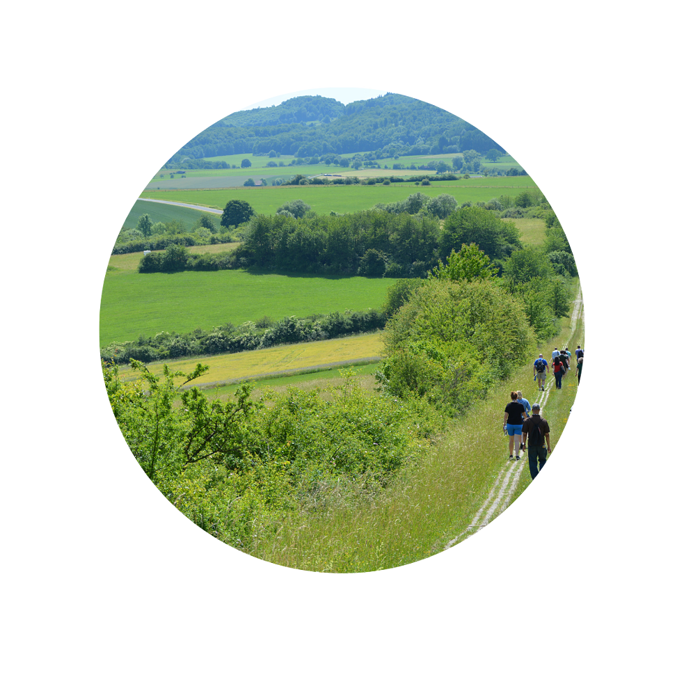 image of German countryside with remains of wall division