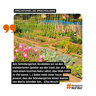 Visual til artikel i sprogkolumme på #DeutschlandNoFilter